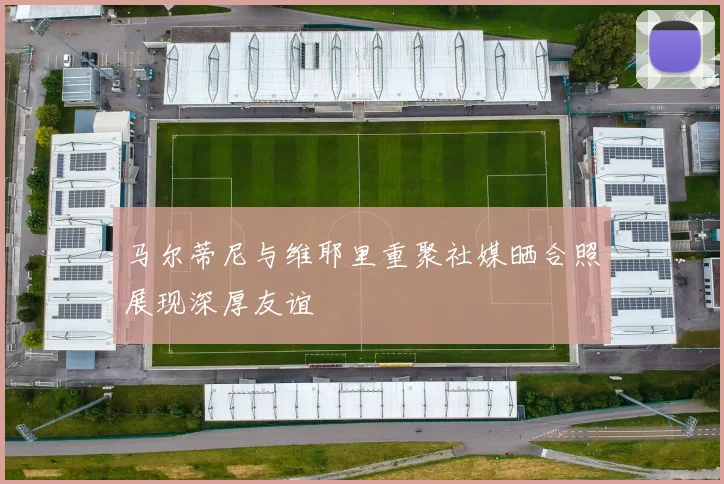 马尔蒂尼与维耶里重聚社媒晒合照展现深厚友谊