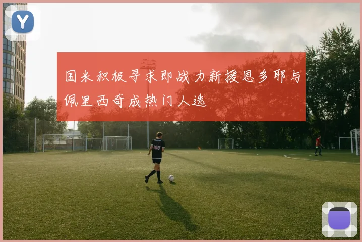 国米积极寻求即战力新援恩多耶与佩里西奇成热门人选