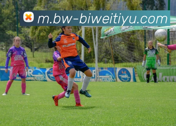 必威体育平台生态图